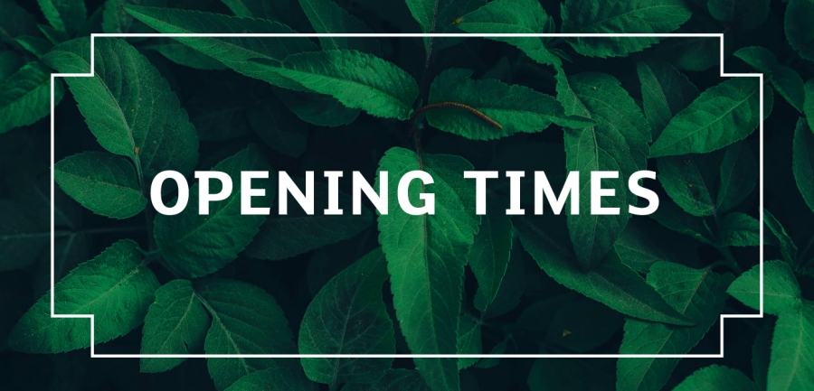 You are currently viewing Church Opening Hours